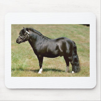miniature pony stallion mouse mat