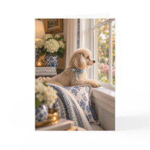 Miniature Poodle Greeting Card