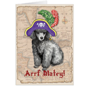 Miniature Poodle Pirate Card