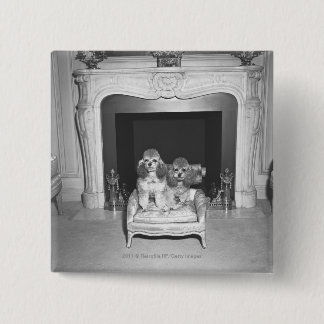 Miniature poodles sitting in front of fireplace 15 cm square badge