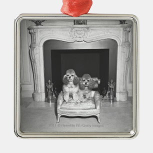Miniature poodles sitting in front of fireplace metal tree decoration