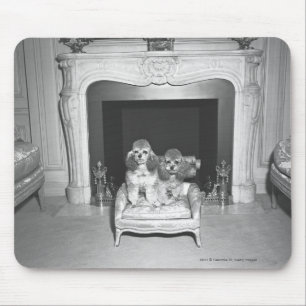 Miniature poodles sitting in front of fireplace mouse mat