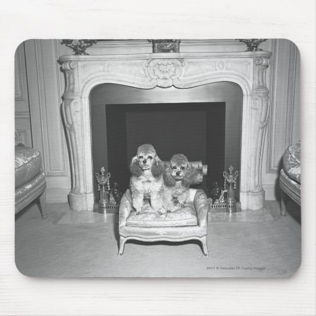 Miniature poodles sitting in front of fireplace mouse mat (Front)