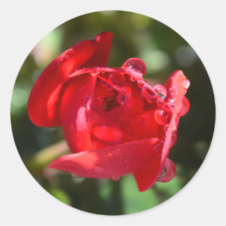 Miniature Red Rose Stickers