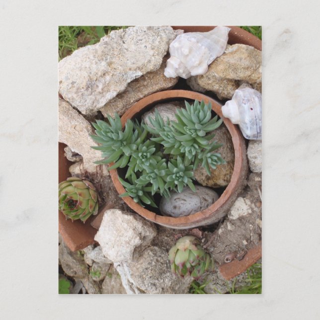 Miniature Rockery Postcard (Front)