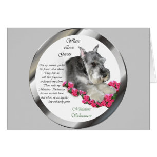 Miniature Schnauzer Art Gifts