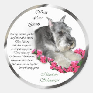 Miniature Schnauzer Art Gifts Classic Round Sticker