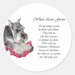 Miniature Schnauzer Art Gifts Classic Round Sticker