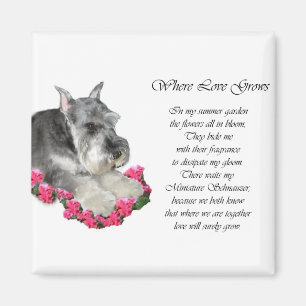 Miniature Schnauzer Art Gifts Magnet