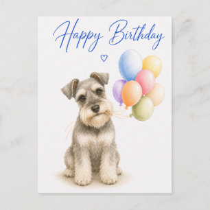 Miniature Schnauzer Birthday Postcard