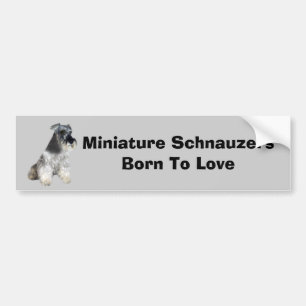 Miniature Schnauzer Bumper Sticker