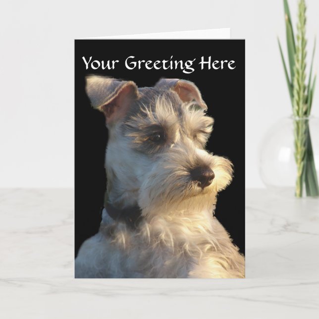 Miniature Schnauzer Card (Front)