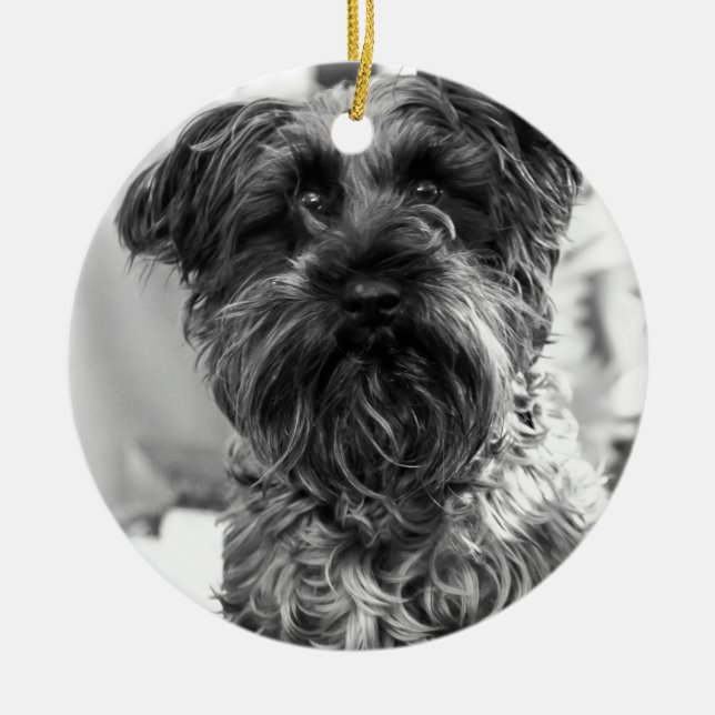 Miniature Schnauzer Ceramic Tree Decoration (Front)