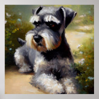 Miniature Schnauzer Dog