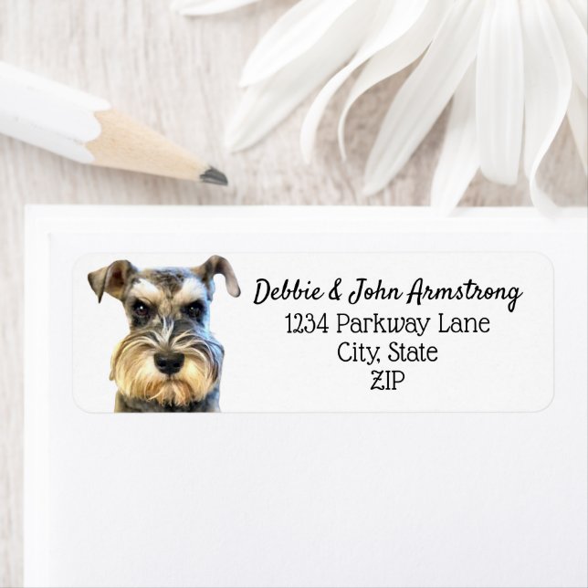 Miniature Schnauzer Dog Puppy Return Address (Insitu)