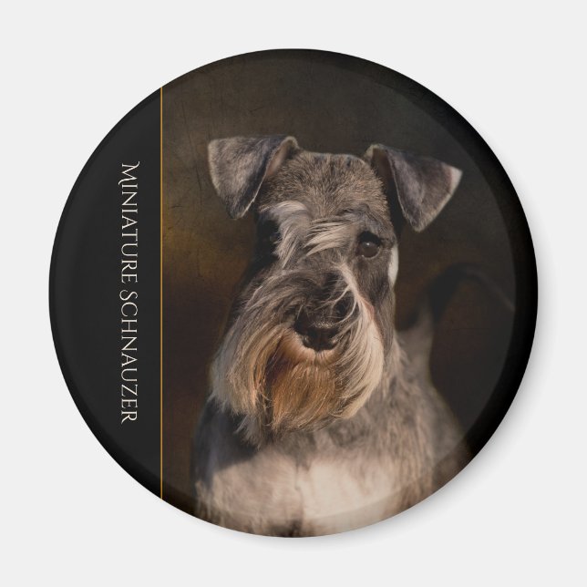 Miniature Schnauzer Fridge Magnet (Front)