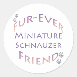 Miniature Schnauzer Furever Classic Round Sticker