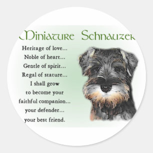 Miniature Schnauzer Gifts Classic Round Sticker