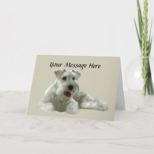 Miniature Schnauzer Greeting Card