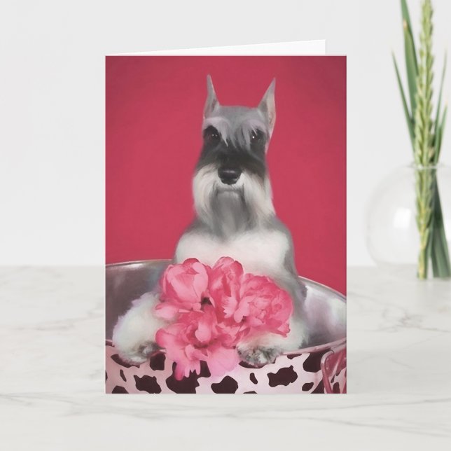 Miniature Schnauzer Greeting Card (Front)
