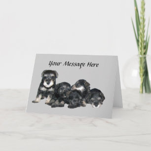 Miniature Schnauzer Greeting Card