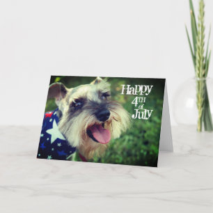 Miniature Schnauzer Happy 4th of July Card