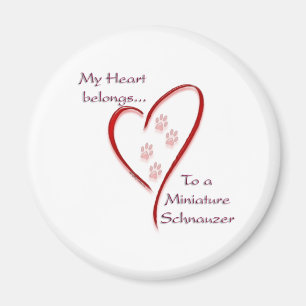 Miniature Schnauzer Heart Belongs Magnet