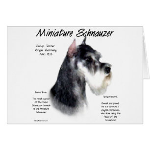 Miniature Schnauzer History Design