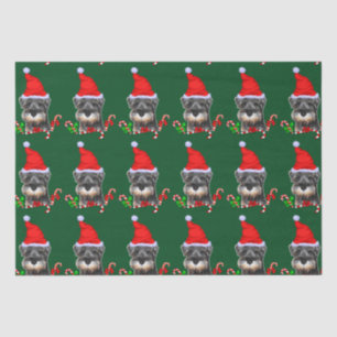 Miniature Schnauzer in Santa Hat Tissue Paper