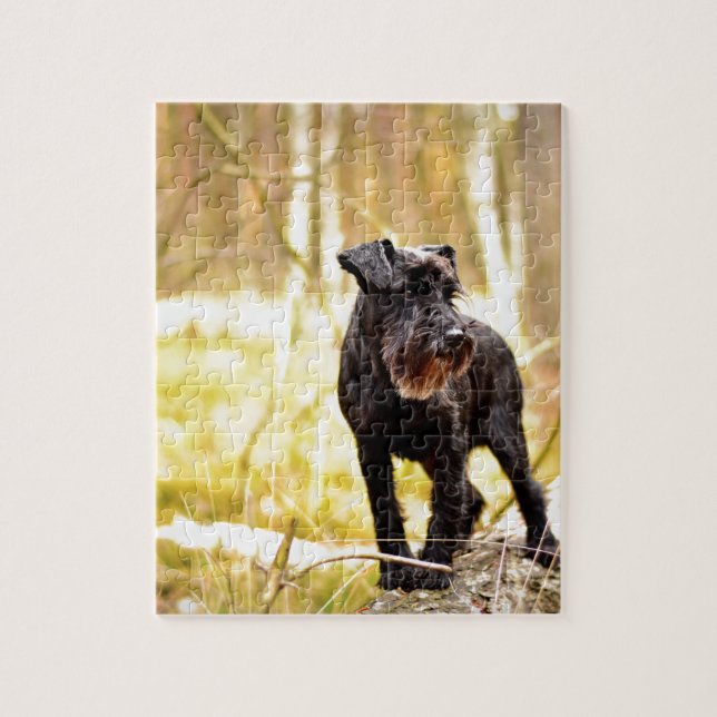 miniature-schnauzer jigsaw puzzle (Vertical)