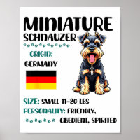 Miniature Schnauzer Origin Funny Mini Schnauzer Lo