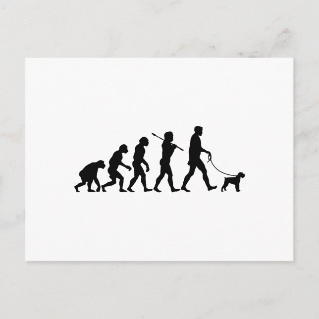 Miniature Schnauzer Postcard (Front)