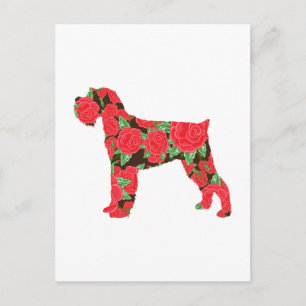 Miniature Schnauzer Postcard