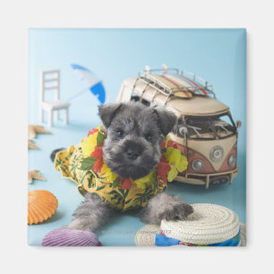 Miniature Schnauzer Puppy and Summer Vacation Magnet