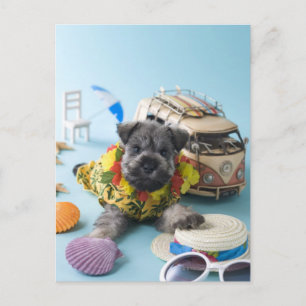 Miniature Schnauzer Puppy and Summer Vacation Postcard