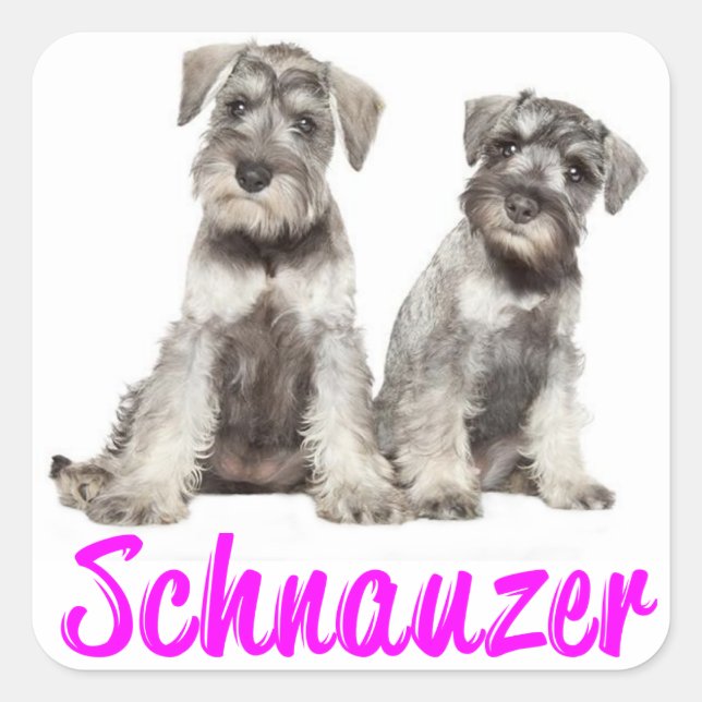 Miniature Schnauzer Puppy Dog Love Sticker (Front)