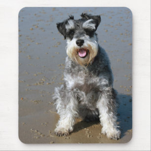 Miniature Schnauzer Puppy Dog Mouse Pad