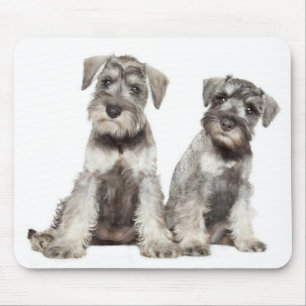 Miniature Schnauzer Puppy Dog Mouse Pad