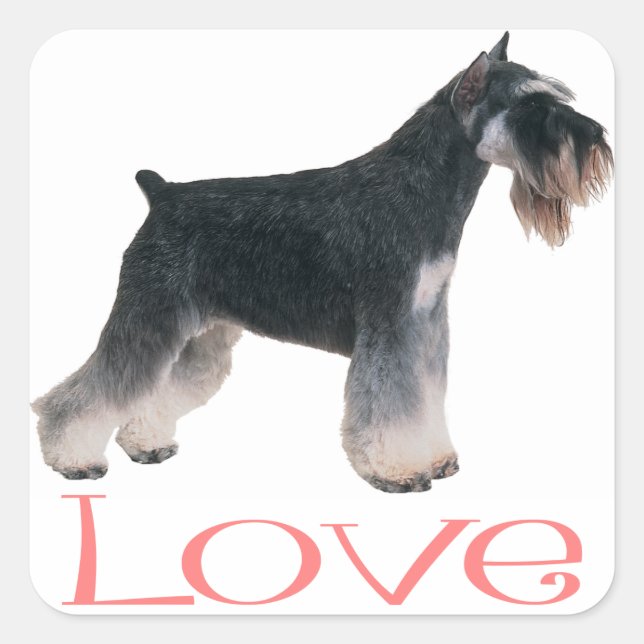 Miniature Schnauzer Puppy Dog Pink Love Sticker (Front)