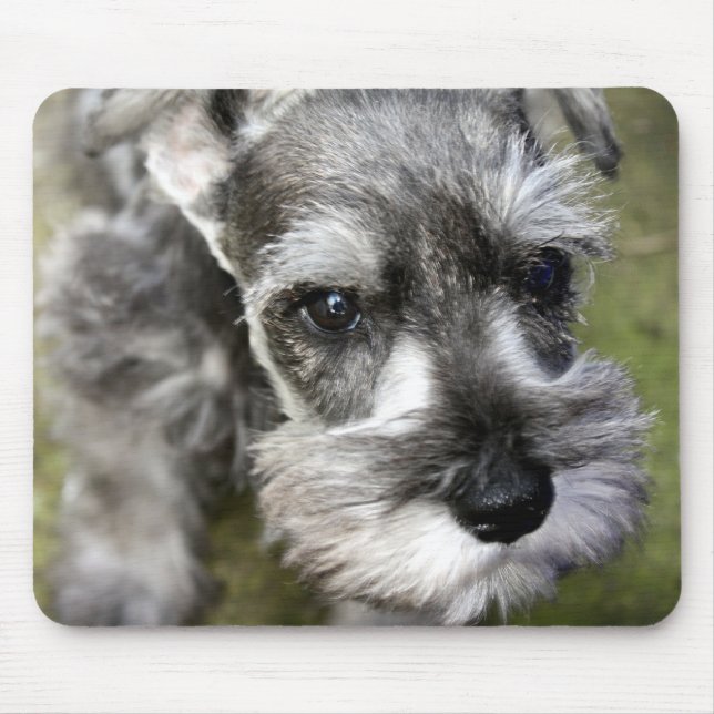 Miniature Schnauzer Puppy Mousepad (Front)