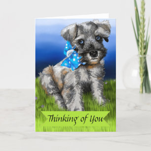 Miniature Schnauzer Puppy Thinking of You Card