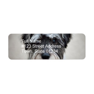 Miniature Schnauzer Return Address Label