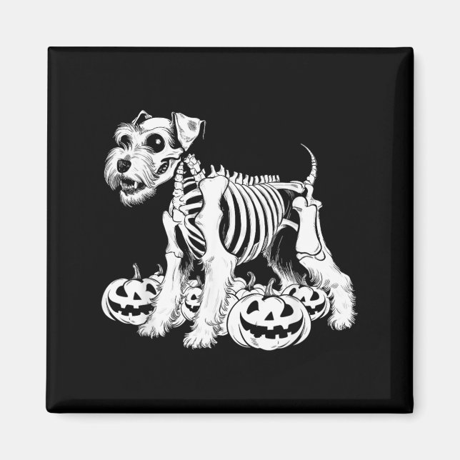 Miniature Schnauzer Skeleton Birthday Halloween Magnet (Front)