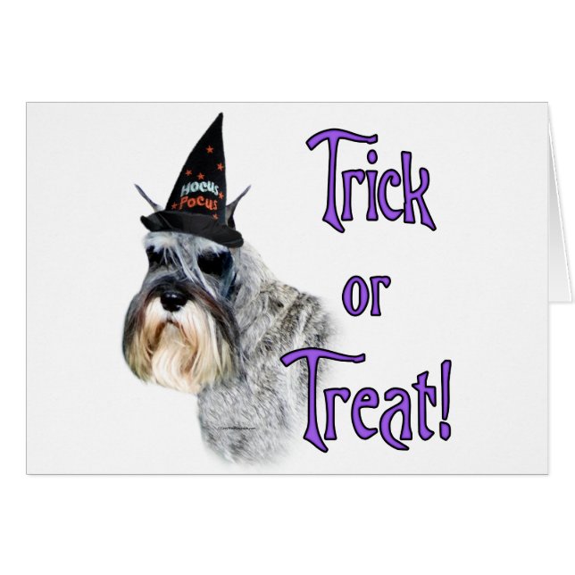 Miniature Schnauzer Trick (Front Horizontal)