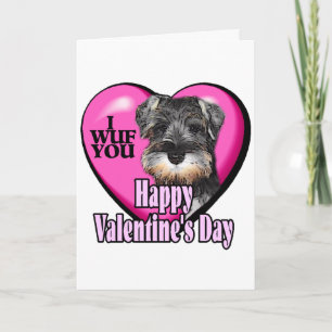 Miniature Schnauzer Valentine's Day Holiday Card