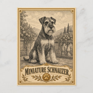 Miniature Schnauzer, Vintage Heritage Dog Postcard