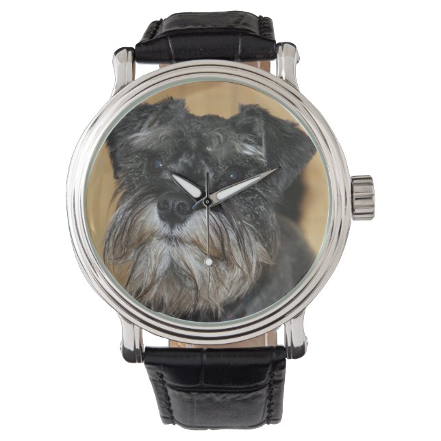 Miniature Schnauzer Watch (Front)