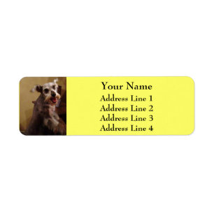 Miniature Schnauzer Yellow Return Address Labels
