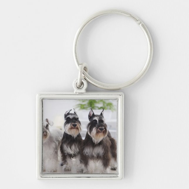 Miniature Schnauzers standing at edge of table Key Ring (Front)