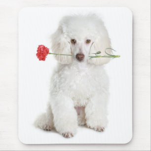 Miniature White Poodle Puppy Dog Flower Mousepad
